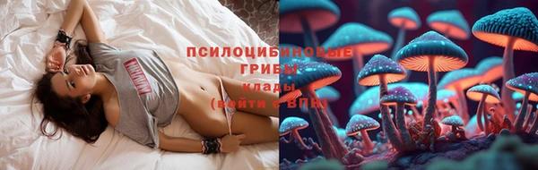 прущие грибы Алексеевка