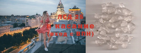 прущие грибы Алексеевка