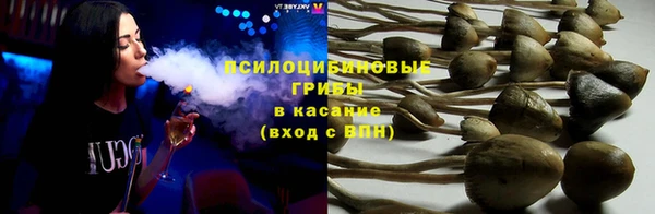 a pvp Алексин