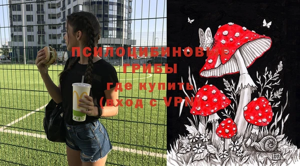 прущие грибы Алексеевка
