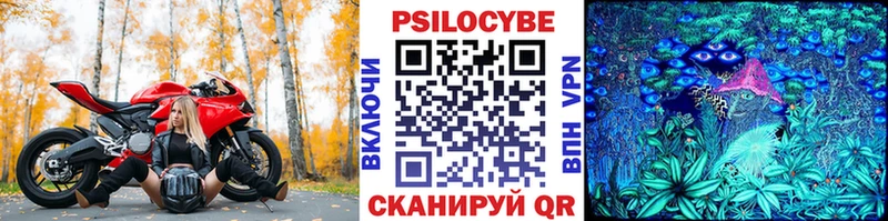 где купить   Асбест  Галлюциногенные грибы GOLDEN TEACHER 